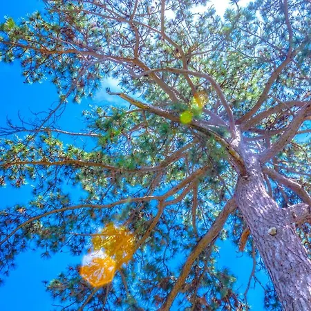 Leon And Leona Apartman Abbázia