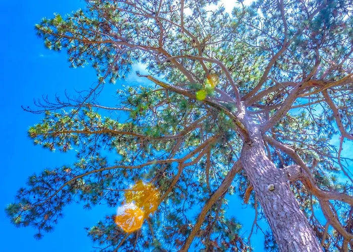 Leon And Leona 公寓 奥帕提亚